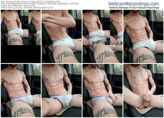 2025/01/28/stripchat-zeefy-08-55-03