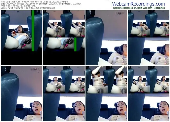 2025/01/28/stripchat-nam_tootsis-02-29-33