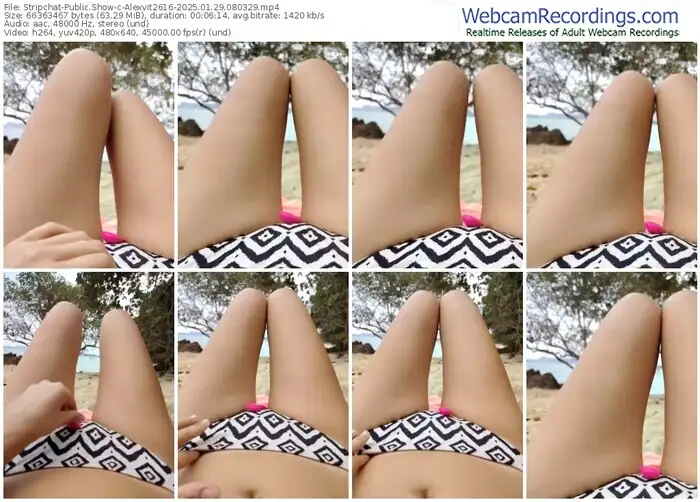 2025/01/29/stripchat-alexvit2616-08-03-29