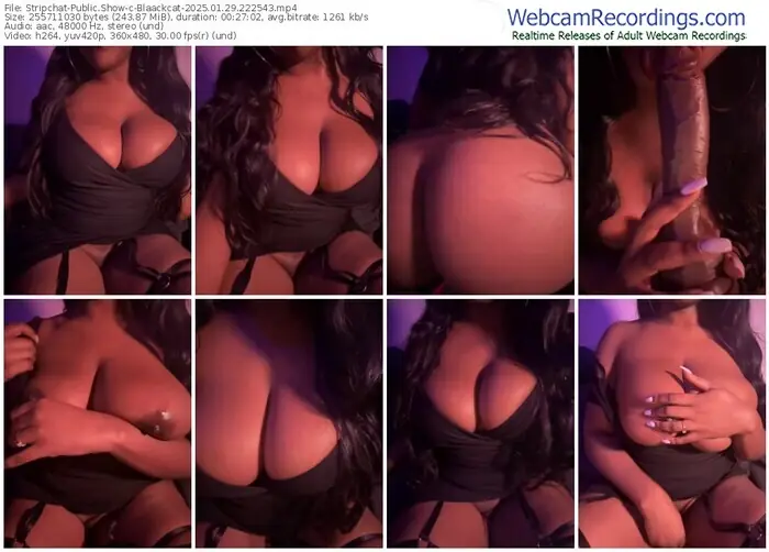 2025/01/29/stripchat-blaackcat-22-25-43