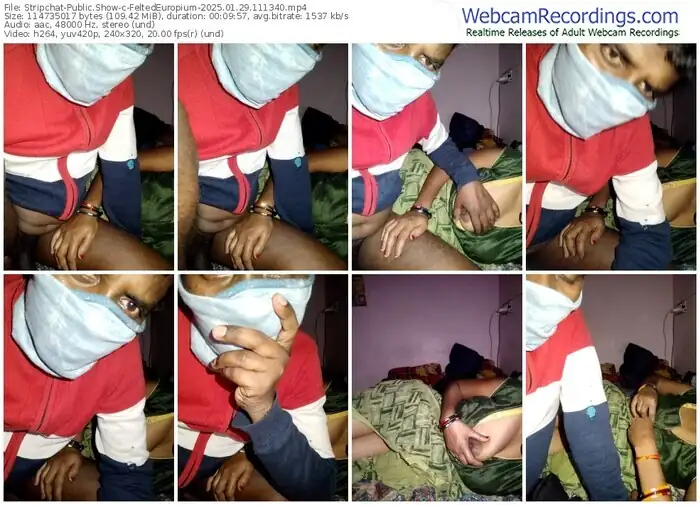 2025/01/29/stripchat-feltedeuropium-11-13-40