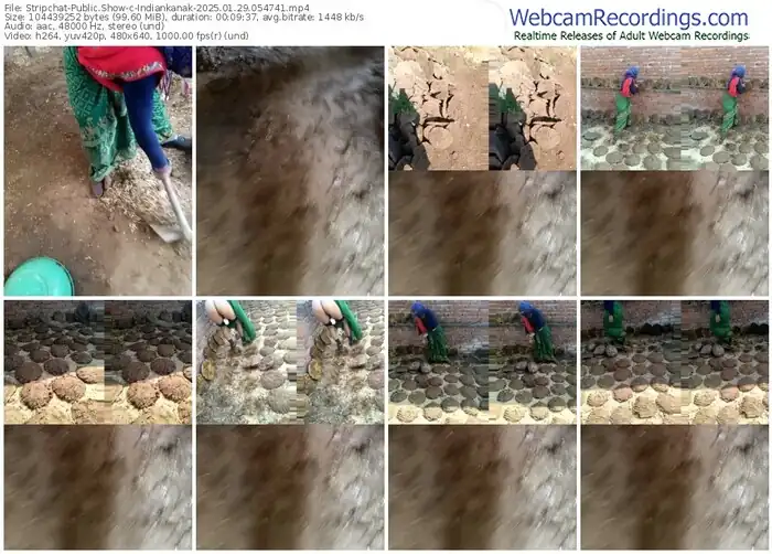 2025/01/29/stripchat-indiankanak-05-47-41
