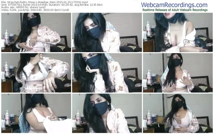 2025/01/29/stripchat-meadow_rain-17-55-31