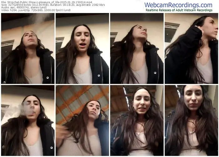 2025/01/29/stripchat-pleasure_of_life-15-00-14