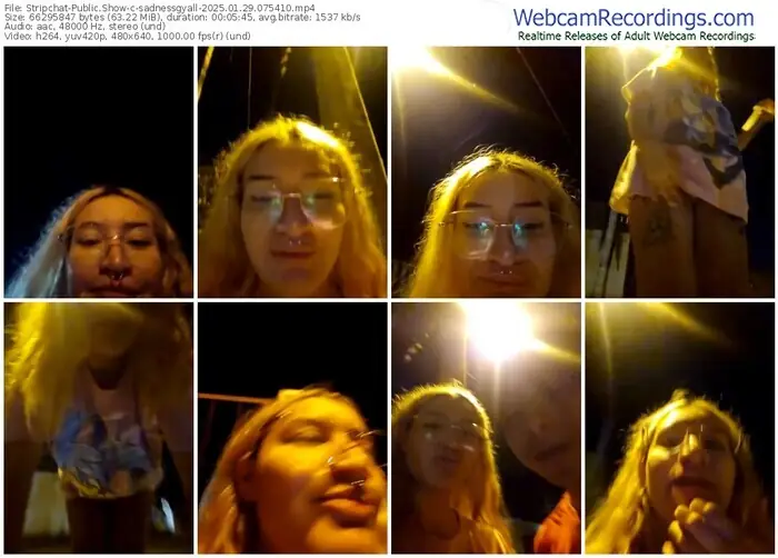 2025/01/29/stripchat-sadnessgyall-07-54-10