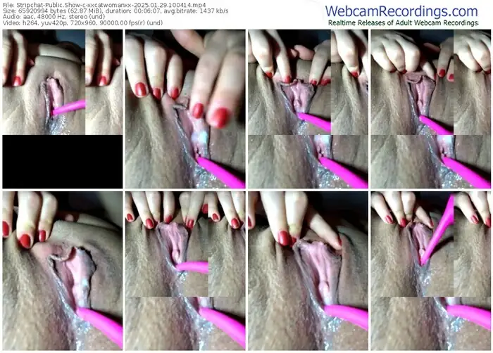 2025/01/29/stripchat-xxcatwomanxx-10-04-14