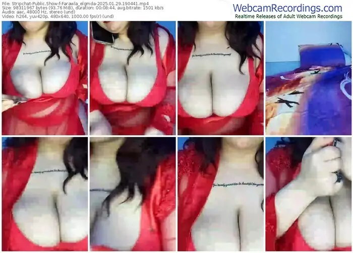 2025/01/29/stripchat-farawla_elgmda-19-04-41