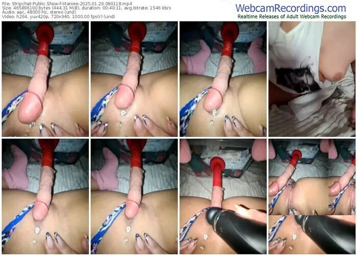 2025/01/29/stripchat-iitaniee-08-01-18