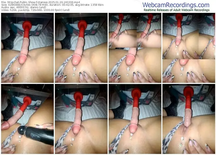 2025/01/29/stripchat-iitaniee-16-03-36