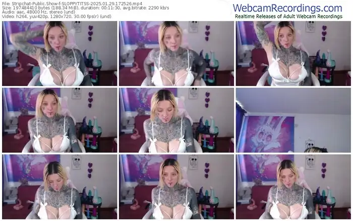 2025/01/29/stripchat-sloppytitss-17-25-26