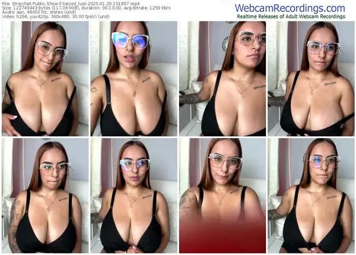 2025/01/29/stripchat-seized_lust-15-18-57