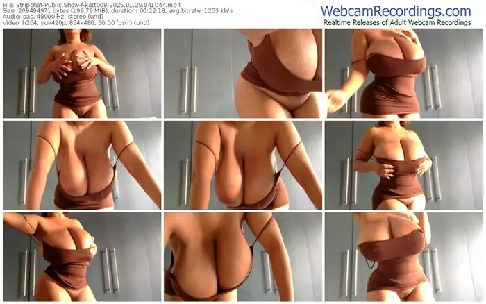 2025/01/29/stripchat-katt008-04-10-44