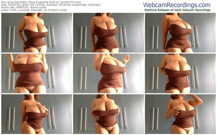 2025/01/29/stripchat-katt008-05-37-31
