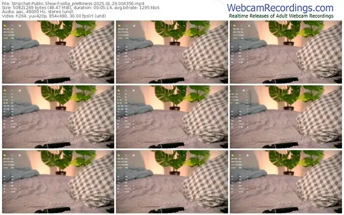 2025/01/29/stripchat-sofia_prettiness-00-43-56