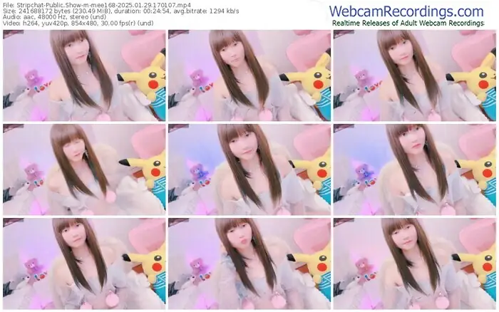 2025/01/29/stripchat-mee168-17-01-07