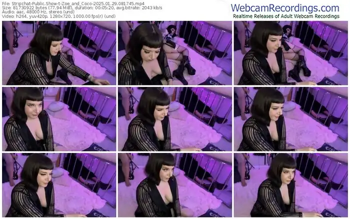 2025/01/29/stripchat-zoe_and_coco-08-17-45