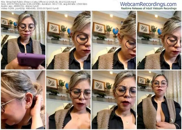 2025/01/30/stripchat-cata_office-12-15-12-29