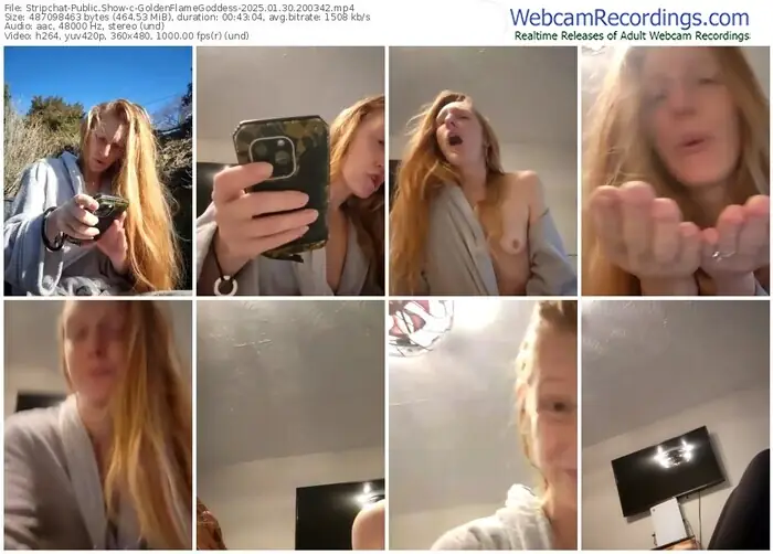 2025/01/30/stripchat-goldenflamegoddess-20-03-42