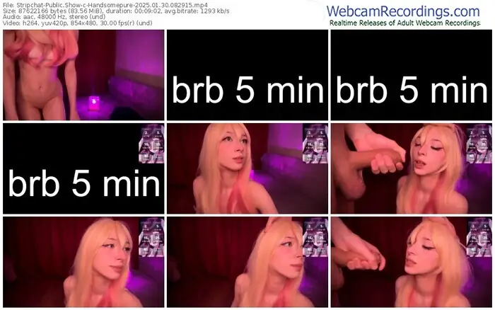 2025/01/30/stripchat-handsomepure-08-29-15