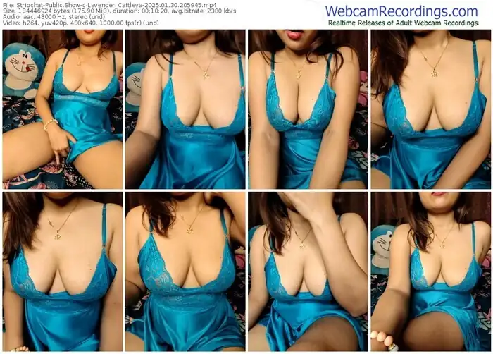 2025/01/30/stripchat-lavender_cattleya-20-59-45