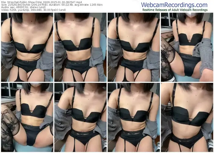 2025/01/30/stripchat-mei_0906-08-25-47