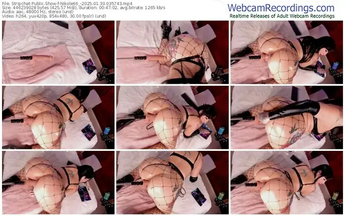 2025/01/30/stripchat-nikole66_-03-57-43