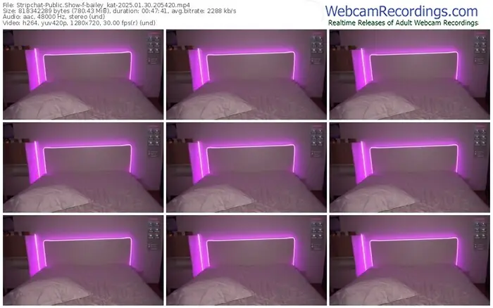 2025/01/30/stripchat-bailey_kat-20-54-20
