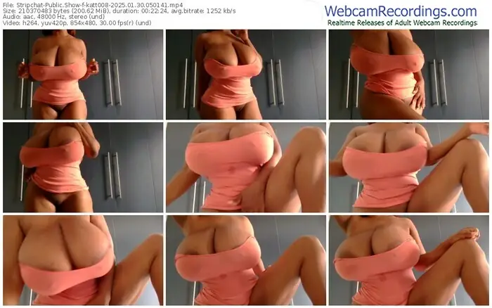 2025/01/30/stripchat-katt008-05-01-41