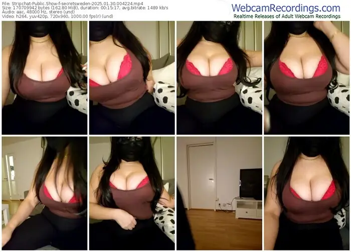 2025/01/30/stripchat-secretsweden-00-42-24