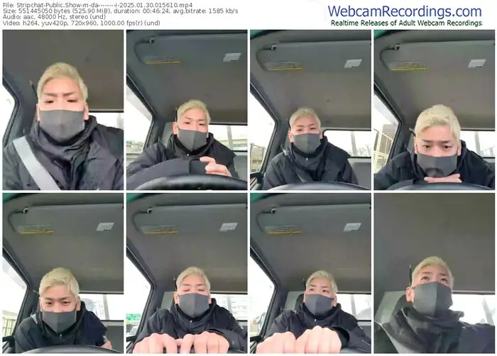 2025/01/30/stripchat-da--------i-01-56-10