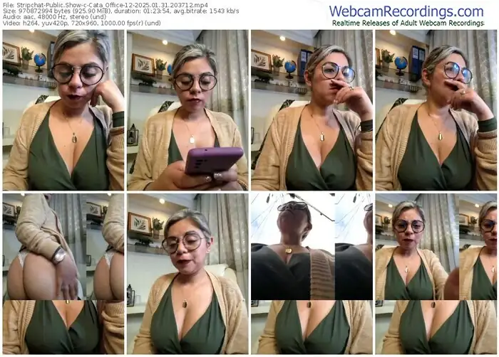 2025/01/31/stripchat-cata_office-12-20-37-12