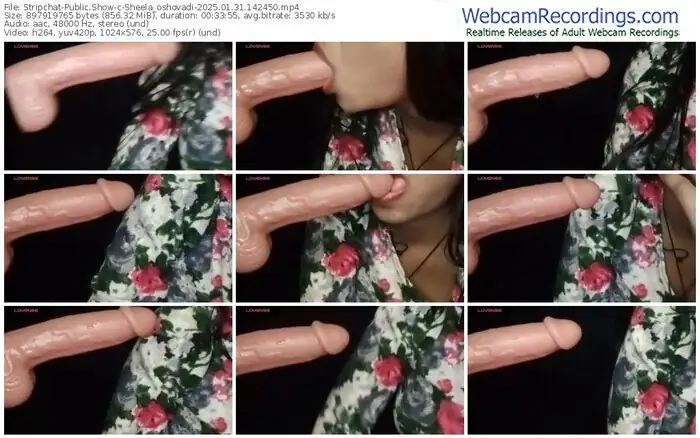 2025/01/31/stripchat-sheela_oshovadi-14-24-50