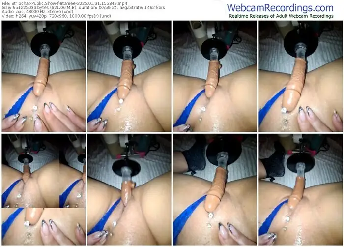 2025/01/31/stripchat-iitaniee-15-58-49