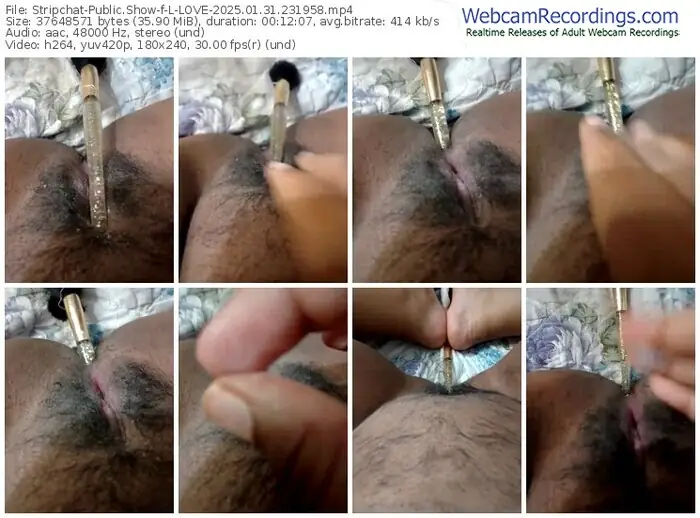 2025/01/31/stripchat-l-love-23-19-58