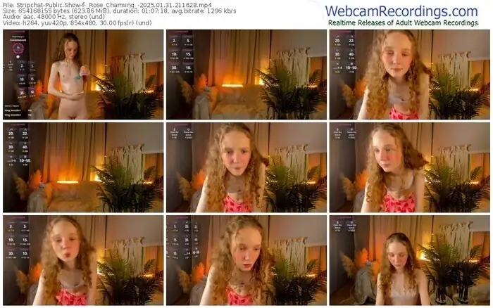 2025/01/31/stripchat-_rose_charming_-21-16-28