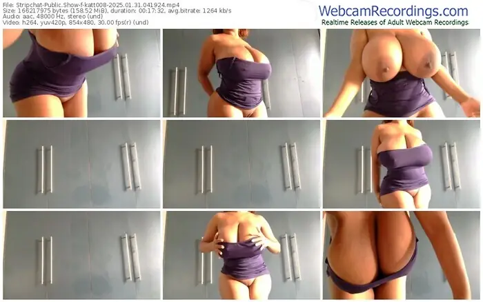 2025/01/31/stripchat-katt008-04-19-24