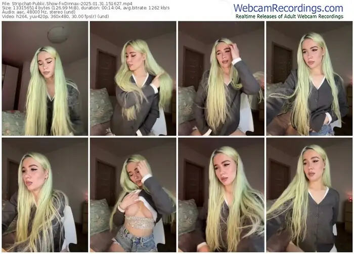2025/01/31/stripchat-xdinnax-15-16-27