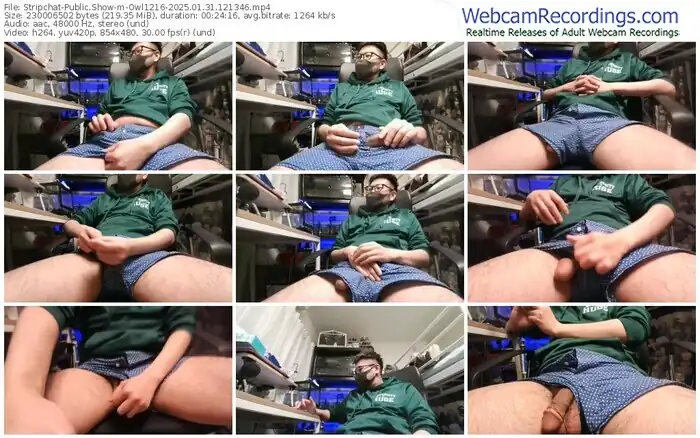 2025/01/31/stripchat-owl1216-12-13-46