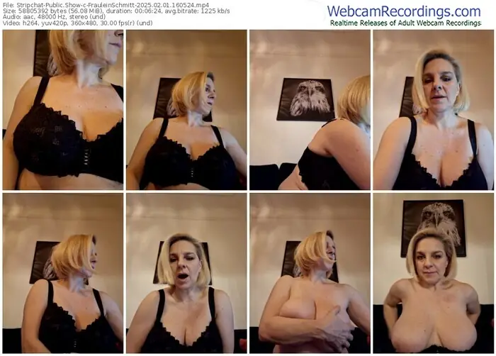2025/02/01/stripchat-frauleinschmitt-16-05-24