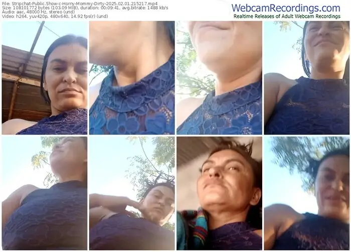 2025/02/01/stripchat-horny-mommy-dirty-21-52-17