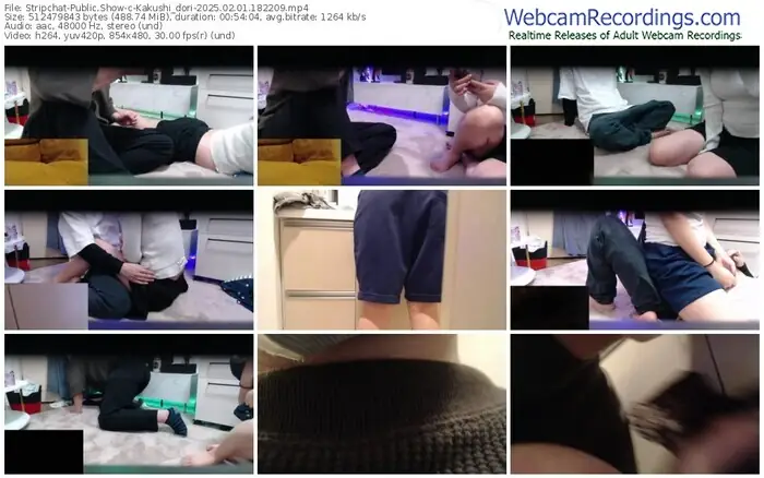 2025/02/01/stripchat-kakushi_dori-18-22-09