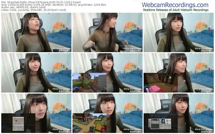 2025/02/01/stripchat-87wawa-15-21-13