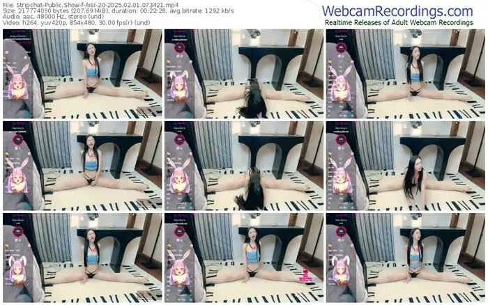 2025/02/01/stripchat-aisi-20-07-34-21