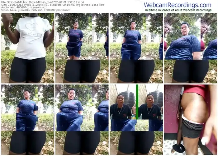 2025/02/01/stripchat-broan_me-13-31-11