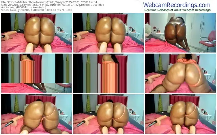 2025/02/01/stripchat-yummythick_yanaya-02-32-12