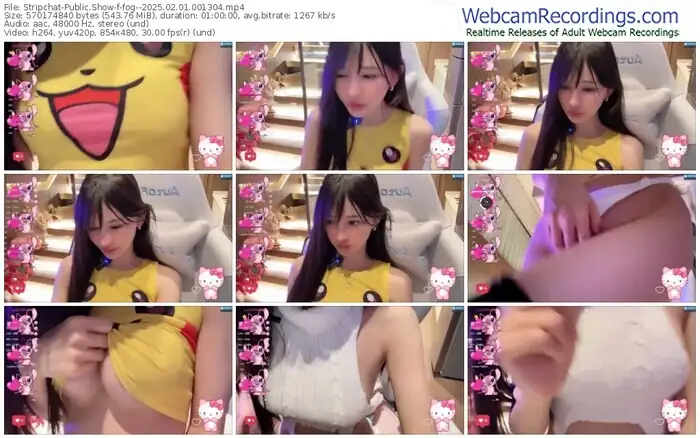 2025/02/01/stripchat-fog--00-13-04