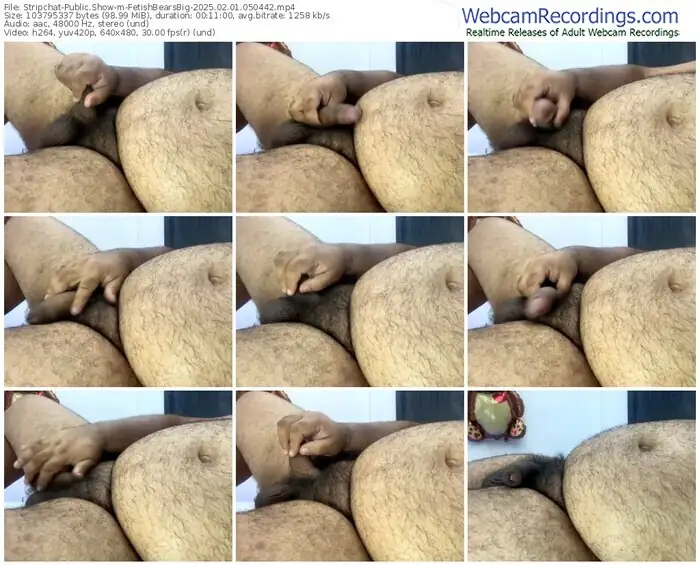 2025/02/01/stripchat-fetishbearsbig-05-04-42