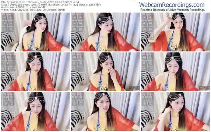 2025/02/01/stripchat-_o--o_-10-06-27