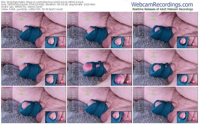 2025/02/01/stripchat-controlmytoys-08-54-14