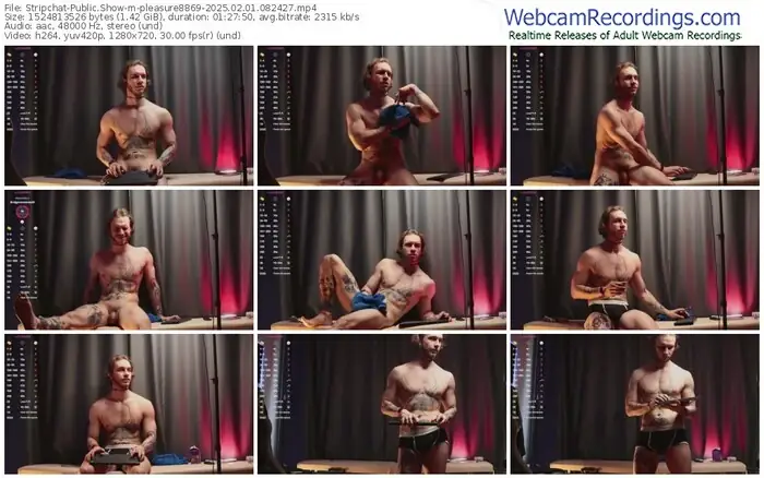 2025/02/01/stripchat-pleasure8869-08-24-27